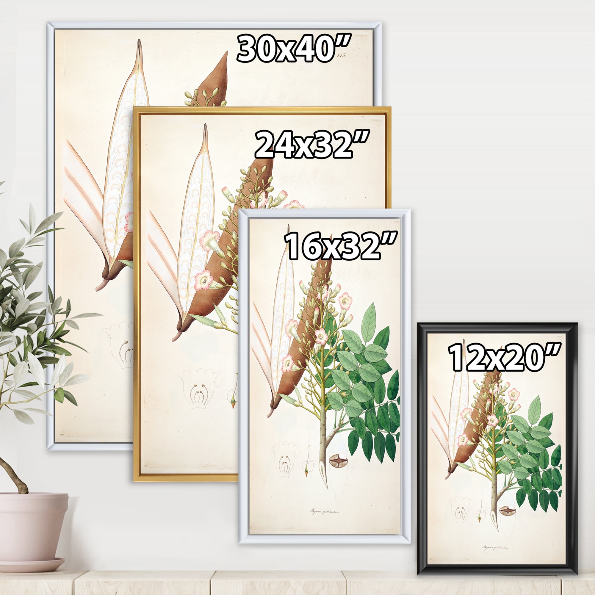 Designart 'Ancient Botanicals IX' Farmhouse Framed Canvas Wall Art Print