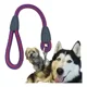 thumbnail image 1 of Correa Para Perro Mediano / Grande Corta Y Resistente 65cm, 1 of 2