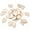 Leaf B (50pcs), variant on MATROOY Blank Leaf Wood Slices Unfinished Natural Wooden Cutouts Hanging Tags Ornaments-Leaf D (50pcs)