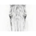 thumbnail image 4 of PHBurchett   24x19 Black Modern Wood Framed Wall Art Titled - Black and White Horse Portrait IV, 4 of 6