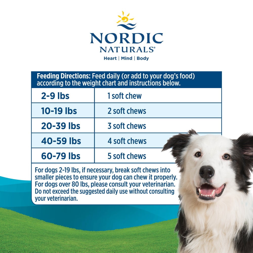 Nordic Naturals Pet Skin & Coat Soft Chews with Omega-3 - Pork Bone Broth Flavor, 30 Count