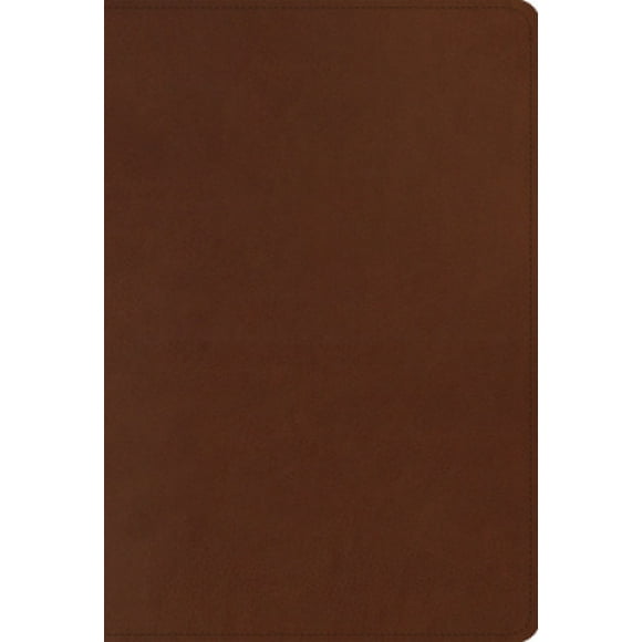 Bible d'Étude des Hommes ESV
