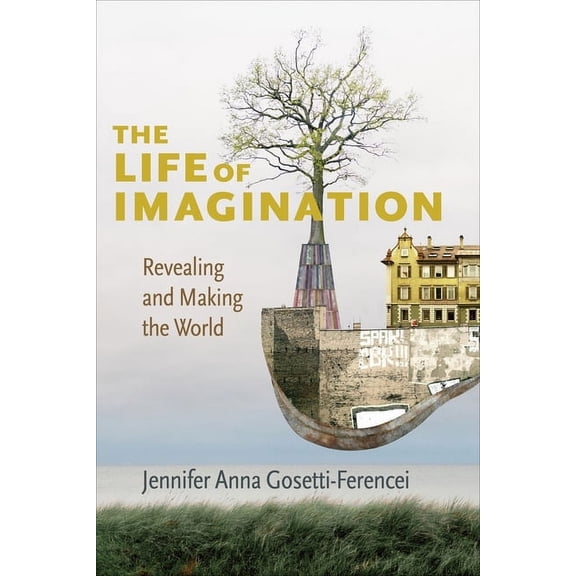 The Life of Imagination, (Hardcover)