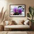 thumbnail image 3 of Magnolia tree in the sunny spring light - Bezirk Pankow Berlin Germany Photography Floral Flowers Botanical Nature Garden Scenic Black Framed Wall Art Print 5 x 7 inches, 3 of 4