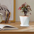 thumbnail image 4 of Plateau d'Eau Rond pour Plantes, Soucoupe Goutte à Goutte pour Fournitures de Jardin Intérieur Extérieur, 4 of 6