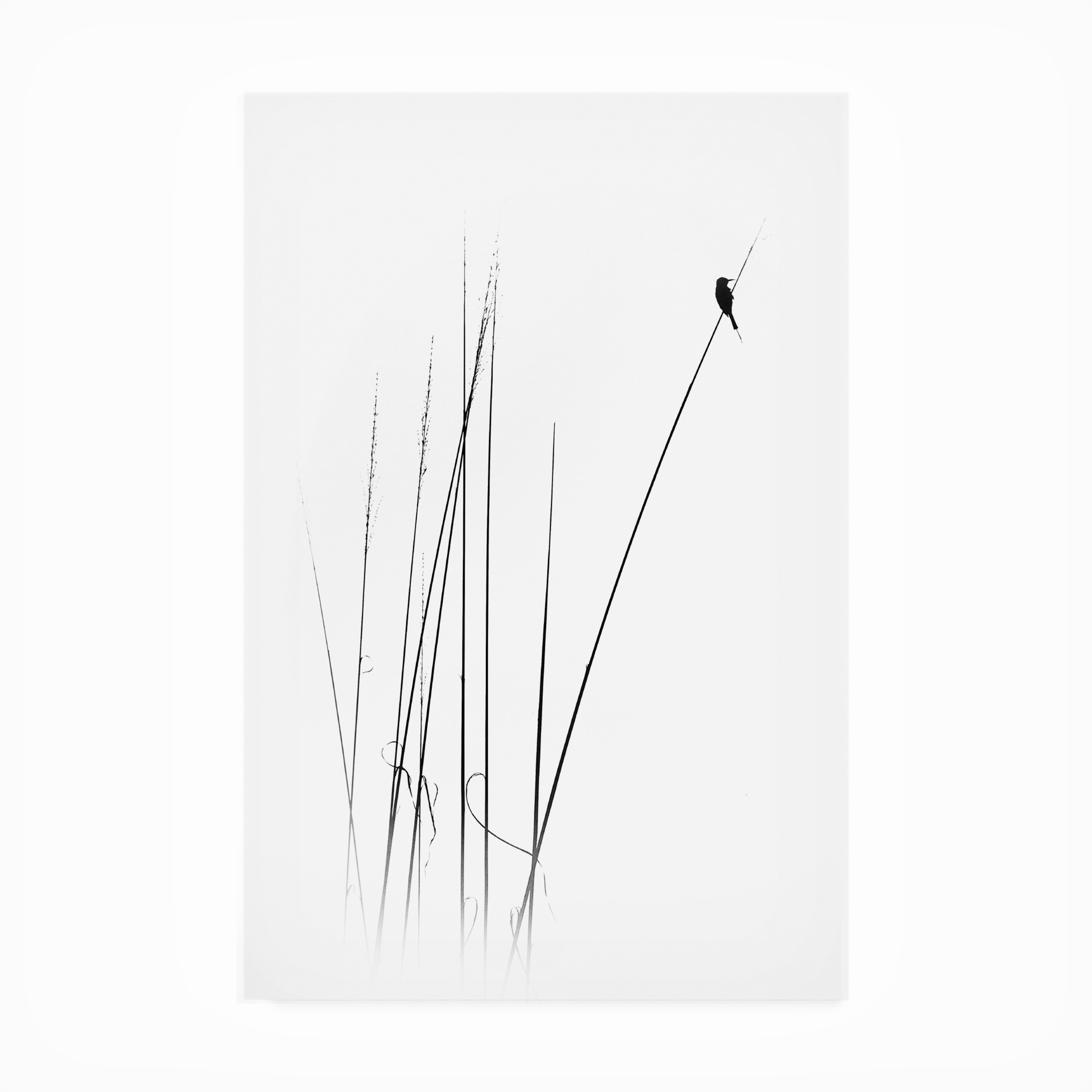 Swapnil 'A Sabbatical' Outdoor All-Weather Wall Decor