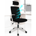 thumbnail image 3 of Silla de Escritorio Ejecutiva Ergonomica Shendy Vendy Respaldo Malla Transpirable Altura Ajustable, 3 of 6