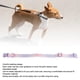 thumbnail image 4 of Collar De Perros, Collar De Perros Ajustable Collar De Cachorro Para Perros Pequeños Collar De Poliéster Para Mascotas Para Perros Pequeños Medianos Grandes Grandes Decoración, 4 of 7