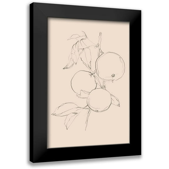 Harper, Ethan 11x14 Black Modern Framed Museum Art Print Titled - Fruit Contour Study I