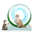 thumbnail image 5 of Ktaxon Cat Exercise Wheel 31in w/Green Mat & Free Teaser Wand, Safe PP Treadmill for Cats, Light Blue, 5 of 9