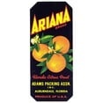 thumbnail image 3 of Anonymous 13x24 Black Modern Framed Museum Art Print Titled - Ariana Brand Florida Citrus Fruit Label (1930-1950), 3 of 5
