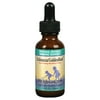 Blackberry Flavored Echinacea/Goldenroot Immune Support 1 fl. oz.