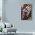 thumbnail image 3 of Trademark Fine Art 'Baby Giraffes' Canvas Art by Michael Jackson, 3 of 3