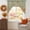 Sage Green, Burnt Orange, Warm Cream, Dusty Amber, variant on Pumpkins Fall Swag Valances for Windows, Small Curtains Drapes, Vintage Floral Thanksgiving Rustic Kitchen Window Curtains Over Sink Rod Pocket Window Treatment Valance for Bedroom/Bathroom 56"x36"