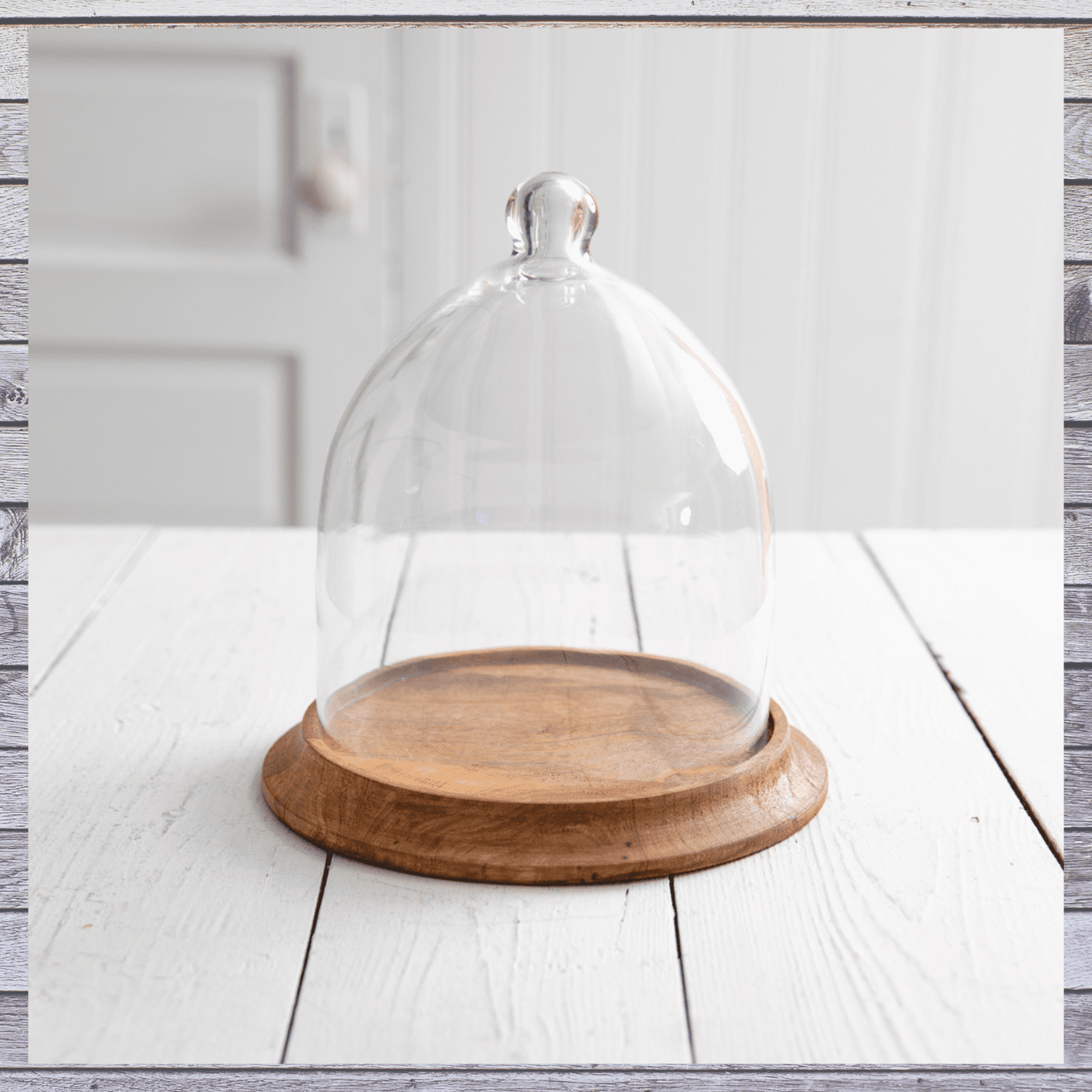 Small Glass Bell Shaped Cloche with Wood Base Dome Glass Bell Jar