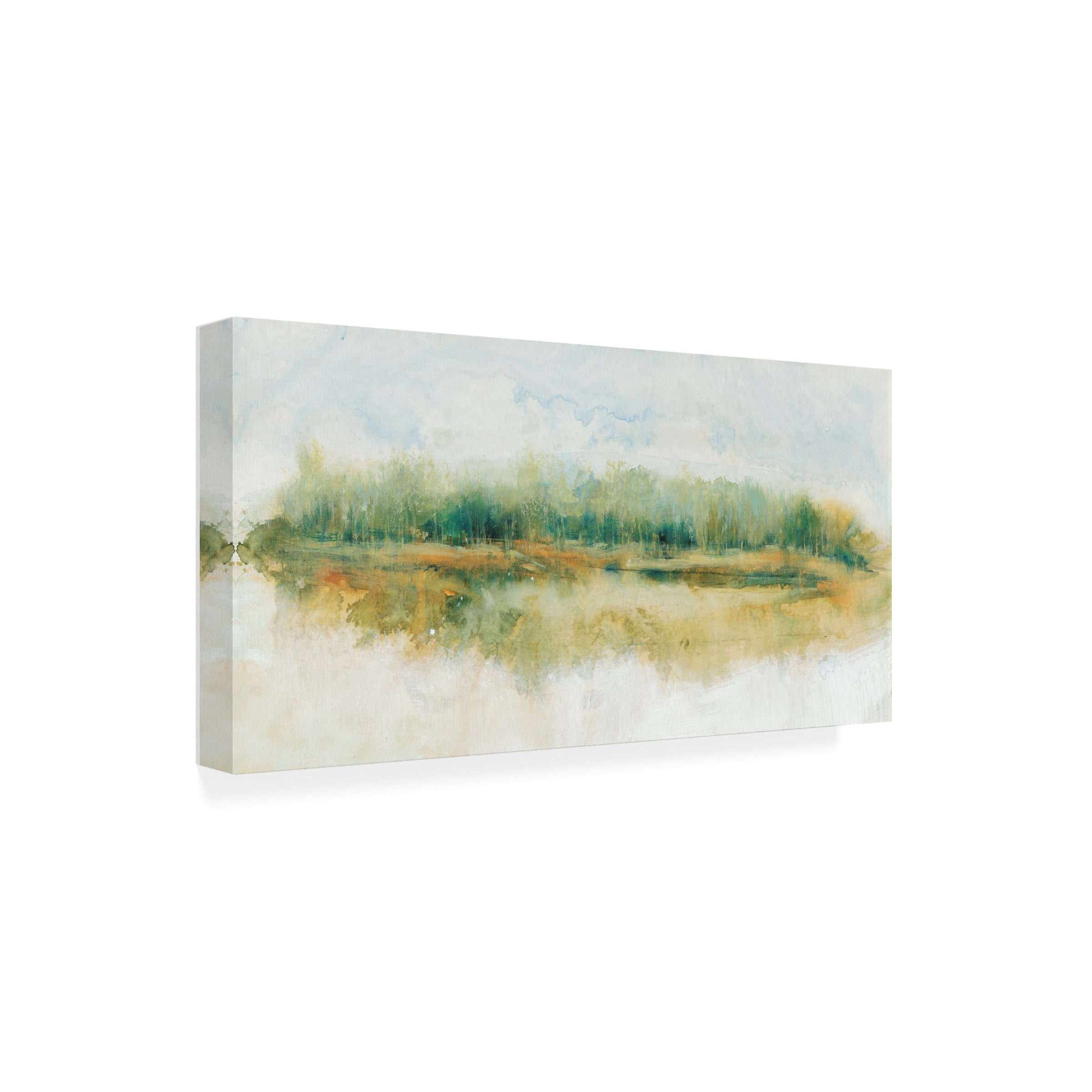 Tim O Toole 'Wind Break II' Canvas Art