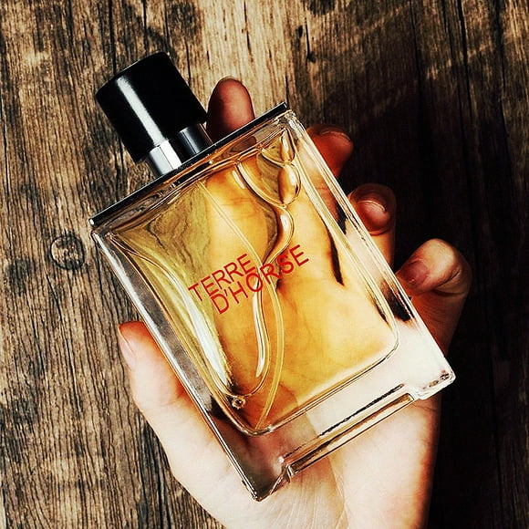 TERRE TERRE TERRE Parfum pour Hommes la TERRE Est Bleue après la Pluie
