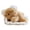 bear, variant on Tiny Sleeping Cat Plush Doll Matching Beige Sofa Nest, Soft Mini Stuffed Kitten Tabletop Shelf Cute Room Decor Ornament