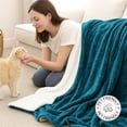 thumbnail image 6 of IR Imperial Rooms Sherpa Bed Blanket Soft Thick & Warm Fluffy Plush Winter Fleece Reversible Lightweight Throw (50x60) Teal, 6 of 7
