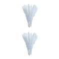 thumbnail image 1 of Injueey 15x Dried Pampas Grass Phragmites Reed Decor Flower Gift Wedding Bunch Home Blanco 2Conjunto, 1 of 1