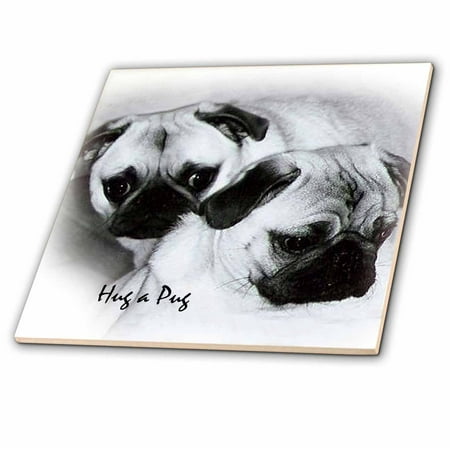 3drose hug a pug