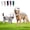 White-29in, variant on 2027 Dinosaur Skeleton Glow in Dark Dog Cat, 1Pcs Costume Plush Pet Outfit for Medium Large Breeds Party Family Photos Novelty Apparel