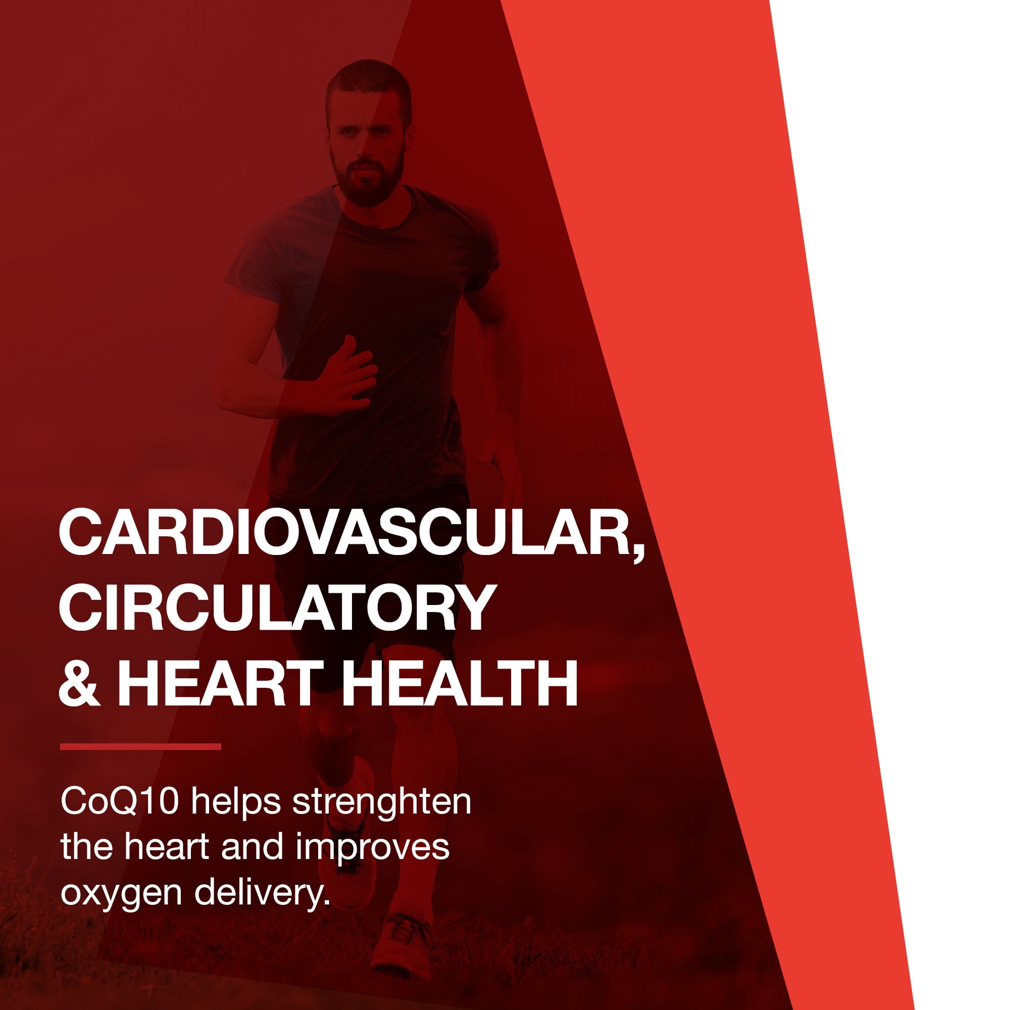 Protocol CoQ10 400mg with Vitamin E - Heart Health Support - 60 Softgels