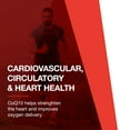 thumbnail image 3 of Protocol CoQ10 400mg with Vitamin E - Heart Health Support - 60 Softgels, 3 of 8
