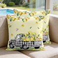 thumbnail image 2 of 26x26 Pillow Covers Set of 2, Summer Lemons Square Throw Pillow Covers for Couch/Sofa/Living Room, Rustic Black Plaid Truck Fruits Yellow Decorative Soft Pillowcases for Couch Throw Pillows, 2 of 9