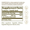Choline Solgar 30137 100 Units main image 1