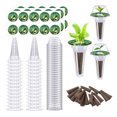 thumbnail image 4 of Vacemry Under $5 Green Plant Pod Kit, Hydroponic Growing Kit for Leafy Vegetables, Complete Plant Starting Kit with Domes, Indoor Gardening Kit for Lettuce and Herbs, 4 of 9