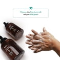 thumbnail image 4 of Bayes Foaming Hand Soap Moisturizing Plant-Derived Essential Oil Infused Hand Wash with Lavender Scent, 12 Oz 3 Pack, 4 of 7