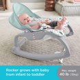 thumbnail image 4 of Fisher-Price Deluxe Infant-to-Toddler Rocker, 4 of 6