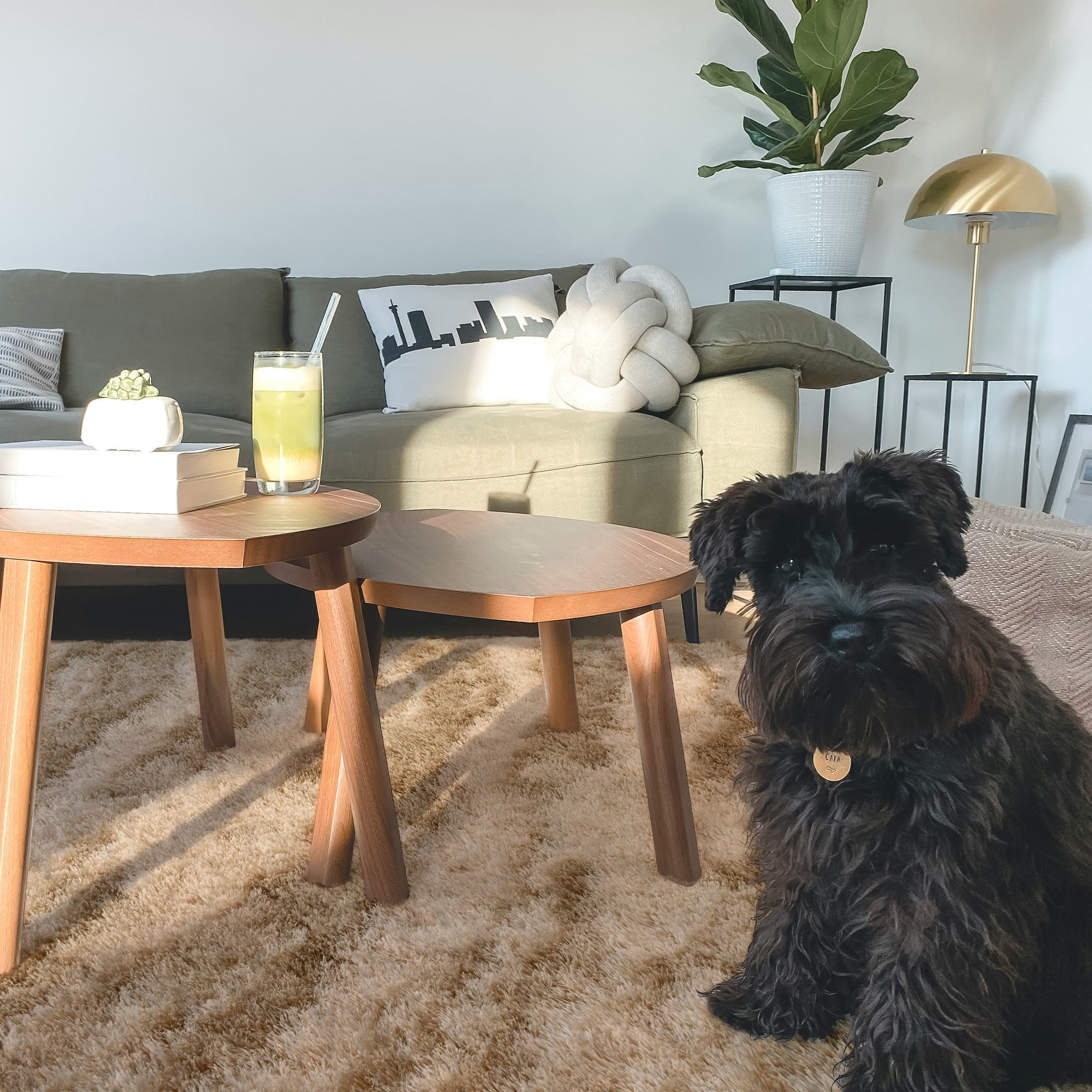 Cydiria Modern Warm Beige Plush Area Rug Scandinavian Shaggy Carpet for Living Room, 4' x 6'
