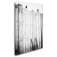 thumbnail image 2 of Trademark Fine Art 'Freed' Canvas Art by Jurgen Hartlieb, 2 of 3