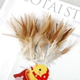 thumbnail image 2 of Rongfmy 50pcs Natural Cock Coque Saddle Feather 4-6 Inch for Hat DIY CRAFTS, 2 of 9