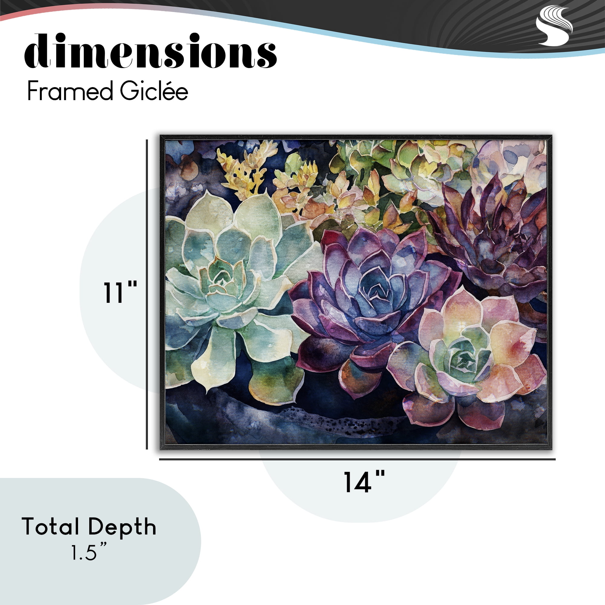 Stupell Industries Tutti Succulents Collection Black Framed Giclee Art, design by Svetlana Aleynikova