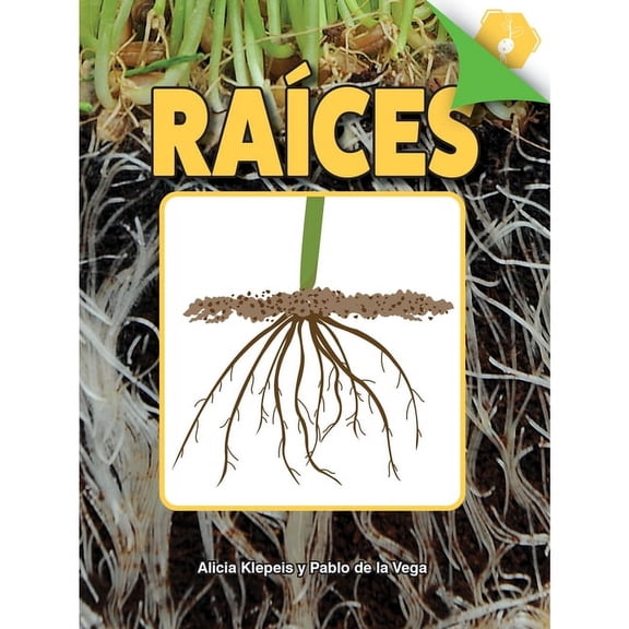 Un Acercamiento a Las Plantas Raíces: Roots, (Hardcover)