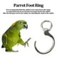 thumbnail image 5 of Anillo para Patas de Pájaro 10 Piezas de Acero Inoxidable Pinzas para Patas de Loro Accesorios para Actividades de Entrenamiento de Moscas Al Aire Libre para Pájaros ANGGREK Otros, 5 of 8