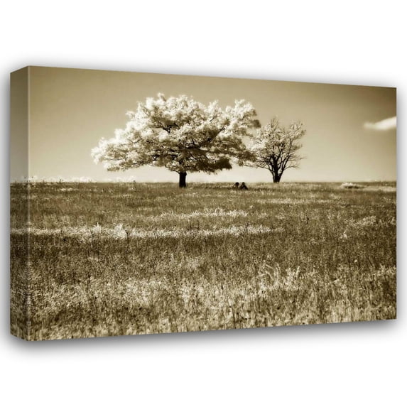Alan Hausenflock 18x15 Gallery Wrapped Canvas Wall Art Titled - Mountain Picnic II