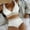 White, variant on Odbmxy Womens Swimsuits 2 Piece Bikini Women's Bathing Suits Bralette Vacation High Cut Solid Color Swimwear,Black L