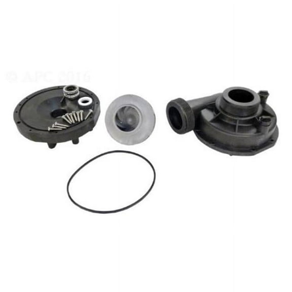 Filbur APCK1186 2.5 HP 240VAC 60 Hz 1-Speed Sundance Spas TheraMax Pump