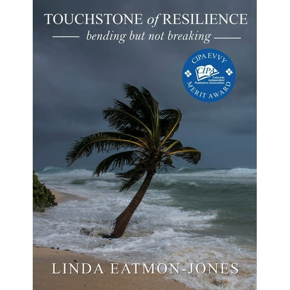TOUCHSTONE of RESILIENCE: bending but not breaking, (Paperback)