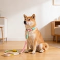 thumbnail image 3 of Slip Lead Dog Leash 5Ft Heavy Duty Rope Leash No Pull Pet Training Lead Slip Leash for Large Medium Dogs, 3 of 8