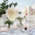 thumbnail image 4 of 20 piezas de flores artificiales de caña seca, penachos de flores, decoración de plantas falsas, ramo de artesanía para exteriores, flores secas, 4 of 6