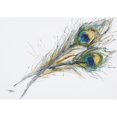 thumbnail image 2 of Watercolor Painting Of Two Peacock Feathers. Poster Print, 2 of 2