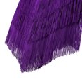 thumbnail image 6 of YONGHS Women's 1920s Cocktail Party Flapper Dress Sequin Tassel Latin Salsa Tango Dancewear Purple One_Size, 6 of 7