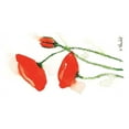 thumbnail image 2 of Blanchet, Karl 18x11 White Modern Wood Framed Museum Art Print Titled - Trio de coquelicots II, 2 of 4