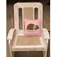 thumbnail image 2 of Coypu Nutria River Rat Pink Check Fabric Decorative Pillow, 2 of 2