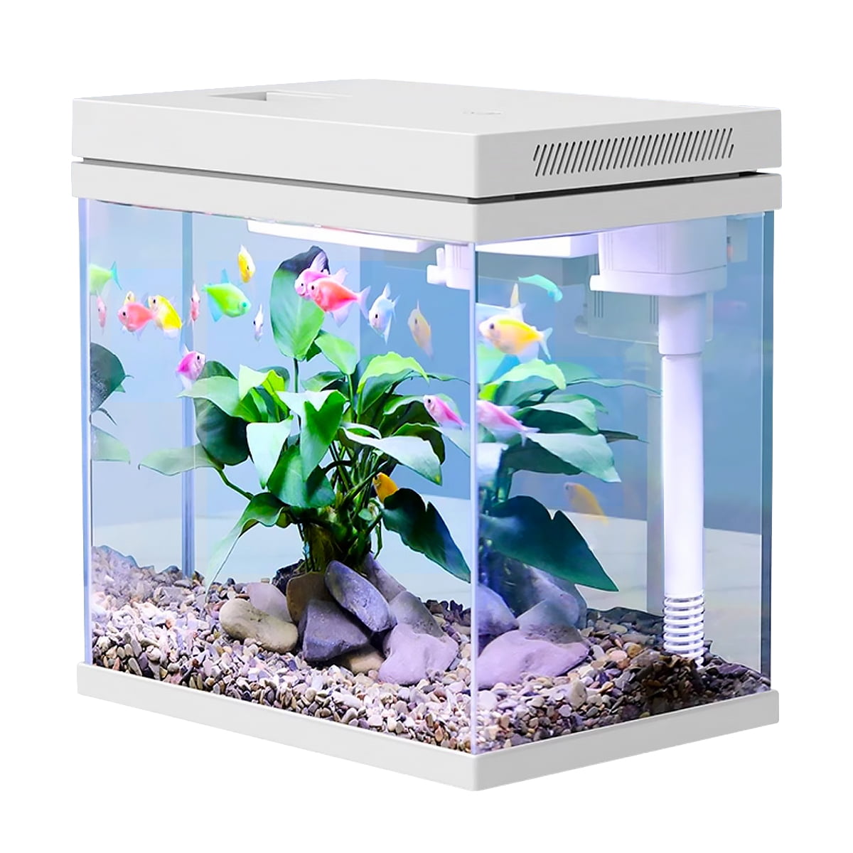 Fish Tank, 2.5 Gallon Nano-Aquarium, Upgrade Filter System and LED Light, for Freshwater & Marine, Filter Balls Included (2.5 Gal)